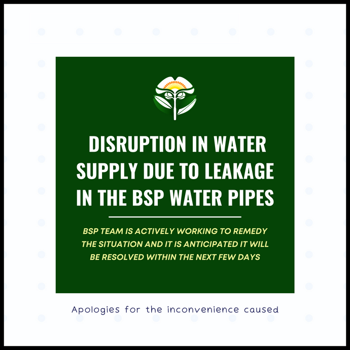 Disruption In Water Supply Due To Leakage In The BSP Water Pipes