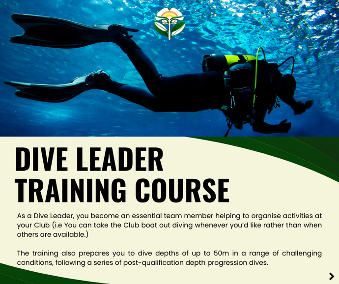 Dive Leader Training Course