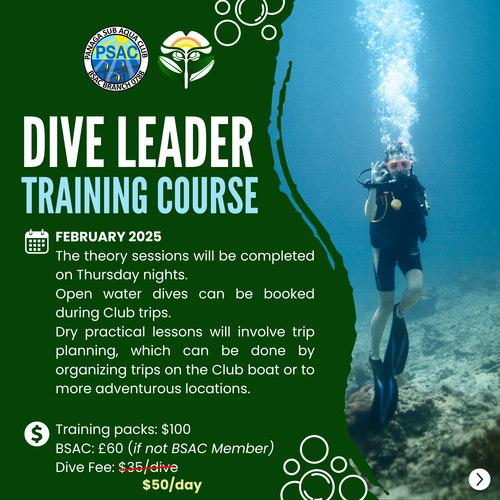 Dive Leader Training Course - Dive Fee Reduced!