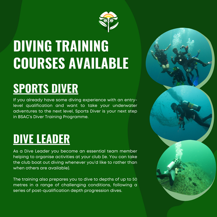 Diving Training Courses Available