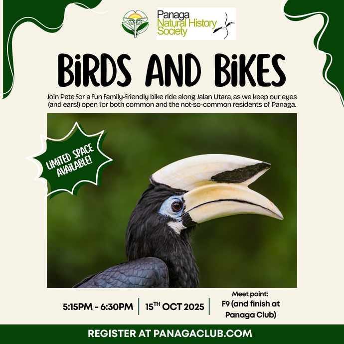 Birds and Bikes