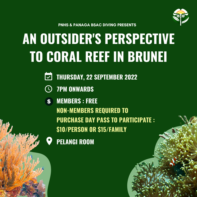 An Outsider's Perspective To Coral Reef In Brunei