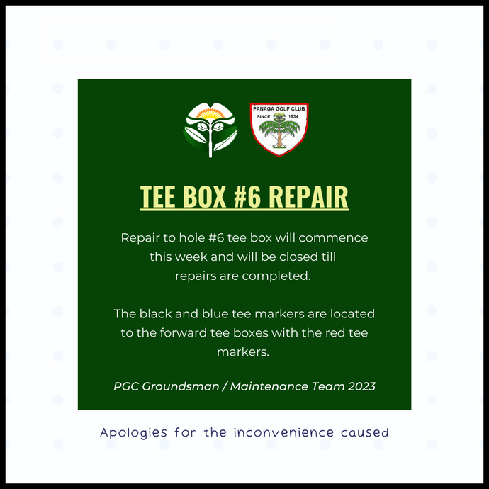Tee Box #6 Repair