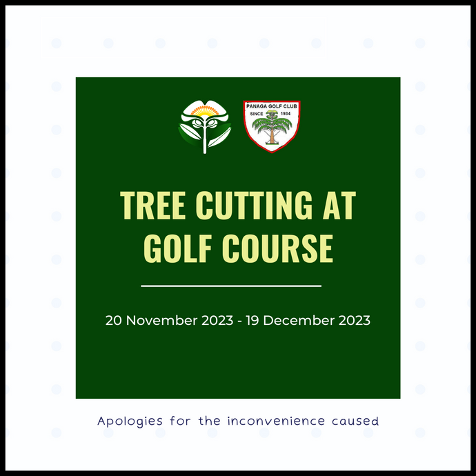 Tree Cutting At The Golf Course
