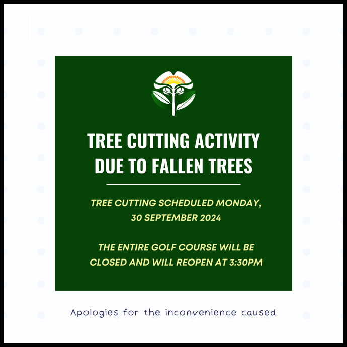 Tree Cutting Activity Due To Fallen Trees