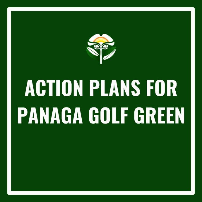 Action Plans For Panaga Golf Greens