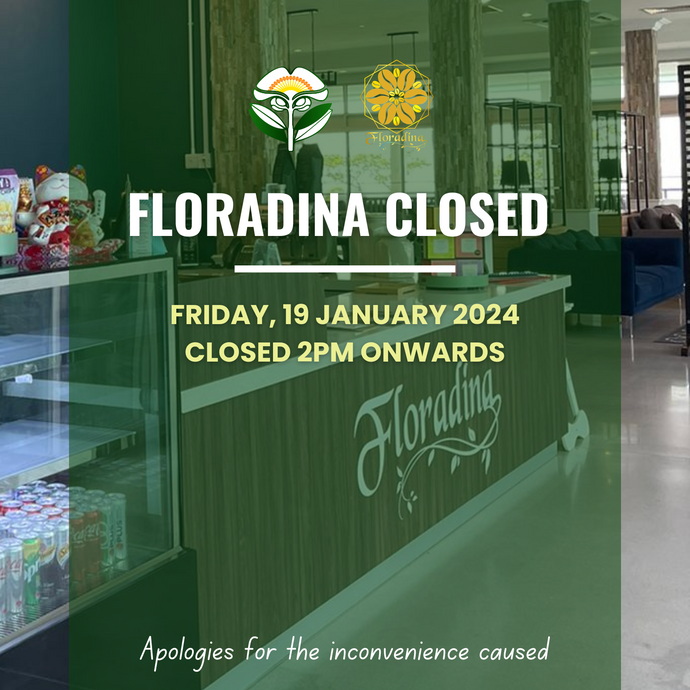 Floradina Closed 2:00pm onwards on Friday, 19 January 2024