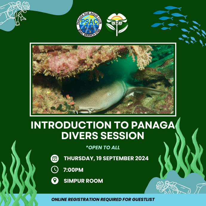 Introduction to Panaga Divers Session