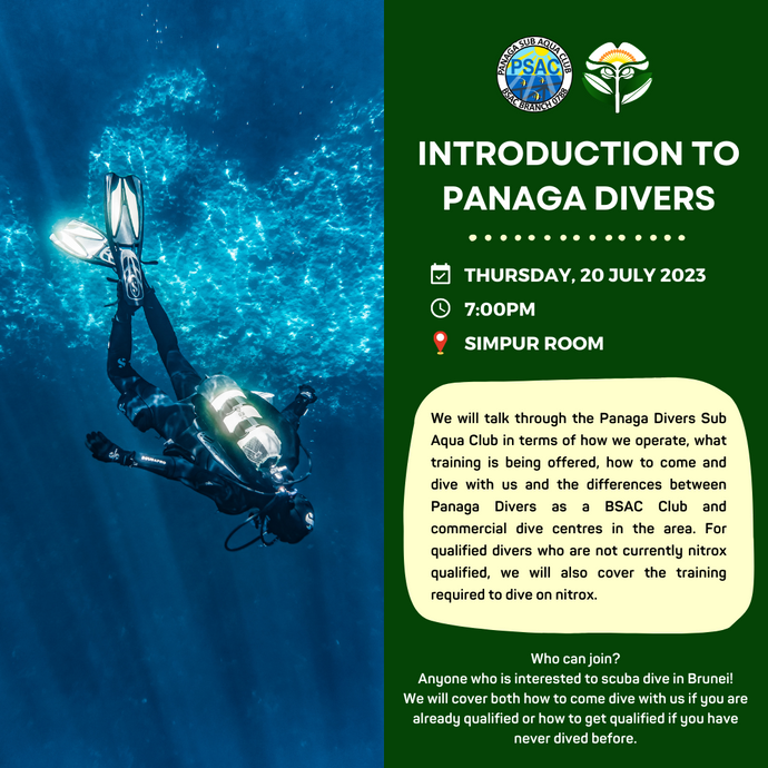 Introduction to Panaga Divers
