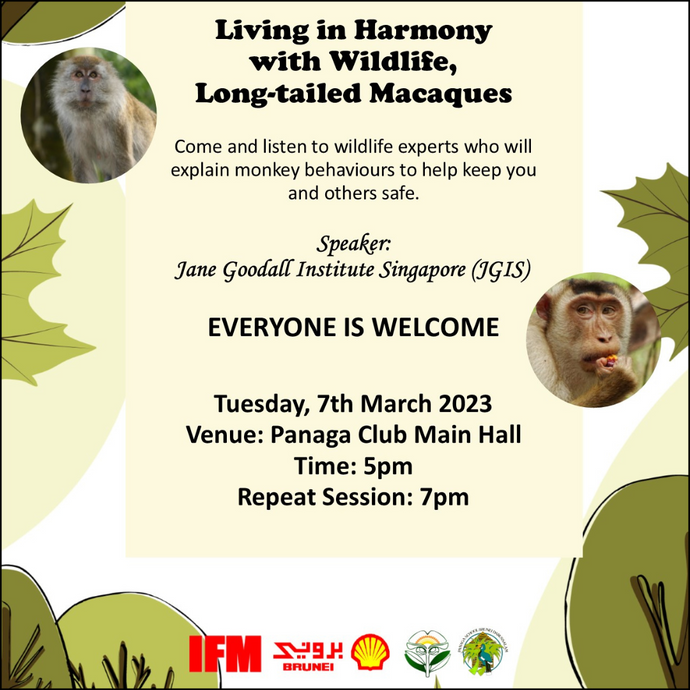 Living in Harmony with Wildlife, Long-tailed Macaques
