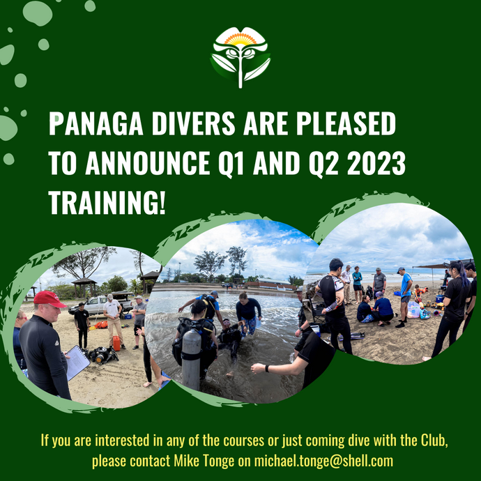Dive Courses Q1 and Q2 2023 Training