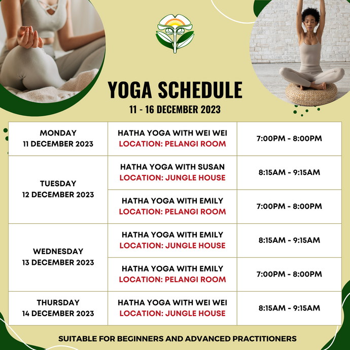 Yoga Schedule 11 to 16 December 2023