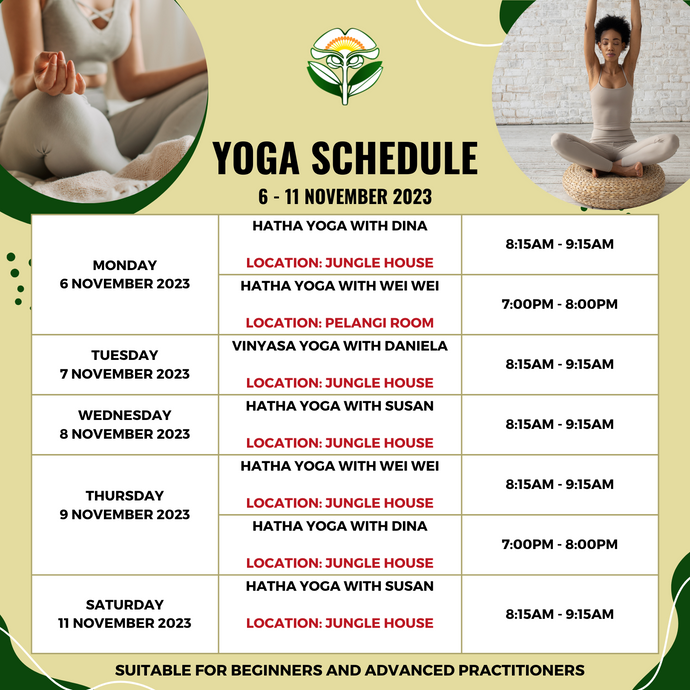 Yoga Schedule 6 to 11 November 2023
